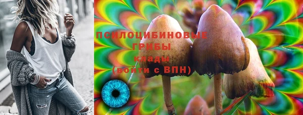 ПСИЛОЦИБИНОВЫЕ ГРИБЫ Абинск